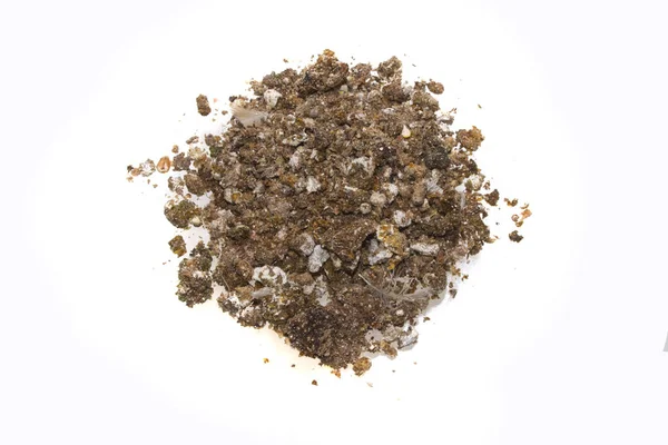 Beyaz arkaplanda izole edilmiş tavuk kumu