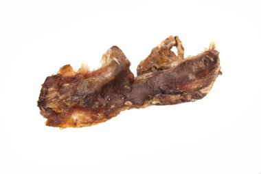 Beyaz arka plan üzerinde izole kemik