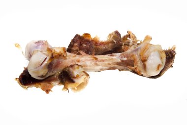 Beyaz arka plan üzerinde izole kemik