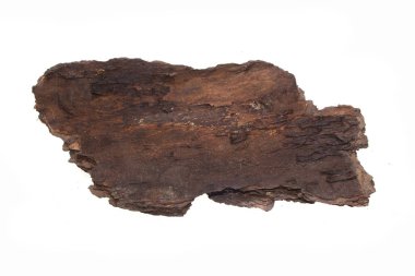 Beyaz arkaplanda ağaç kabuğu izole