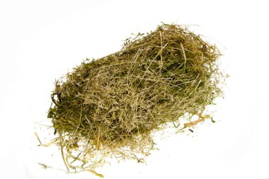 beyaz arkaplanda izole edilmiş kuru ot