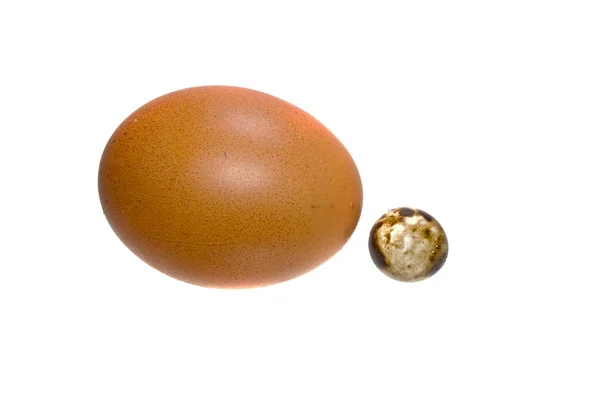 Яйцо выделено на белом фоне — стоковое фото