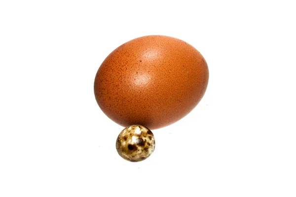 Ägg isolerad på vit bakgrund — Stockfoto