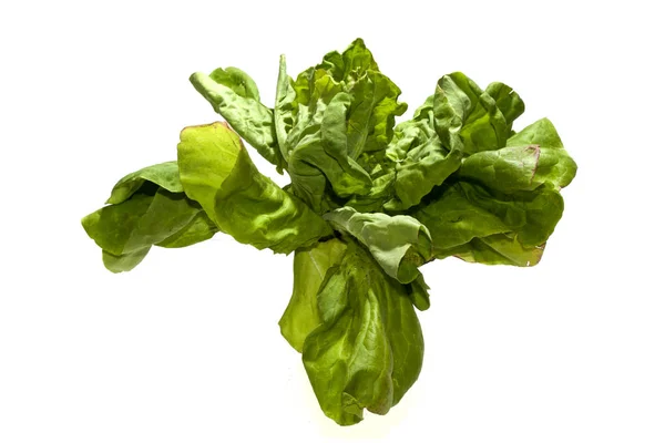 Ensalada verde aislada sobre fondo blanco — Foto de Stock