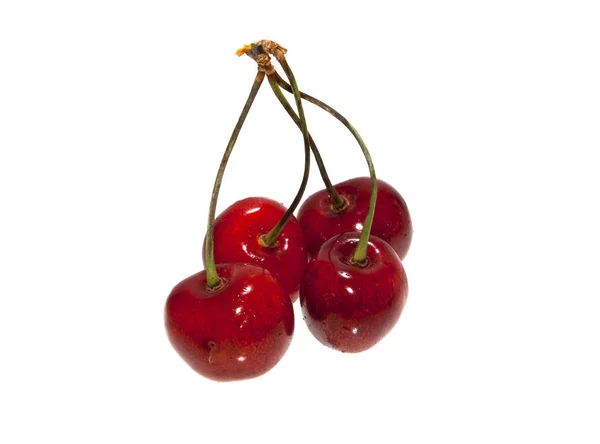 Cherry diisolasi pada latar belakang putih — Stok Foto
