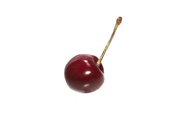 Cherry elszigetelt fehér alapon — Stock Fotó