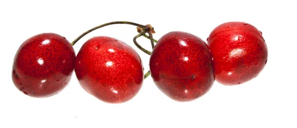 Cherry diisolasi pada latar belakang putih — Stok Foto