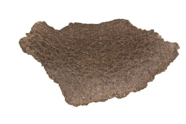 tohum basıncı beyaz arkaplanda izole edildi