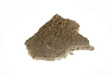 tohum basıncı beyaz arkaplanda izole edildi