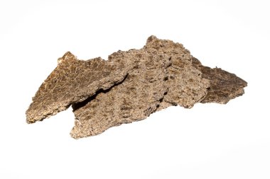 Beyaz arka plan üzerinde izole ezilmiş tohum