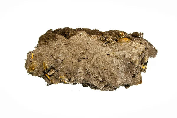 beyaz arkaplanda izole edilmiş toprak parçası