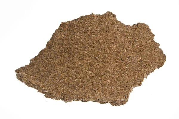 Ciśnienie nasion izolowane na białym tle — Zdjęcie stockowe