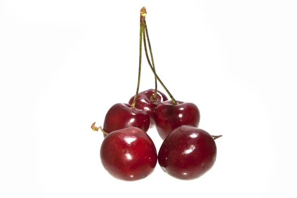 Cherry izolované na bílém pozadí — Stock fotografie