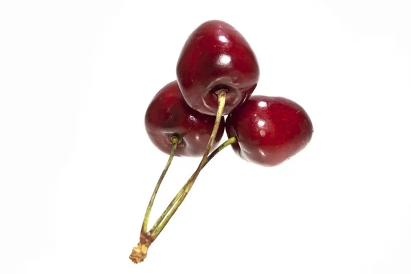 Cherry diisolasi pada latar belakang putih — Stok Foto