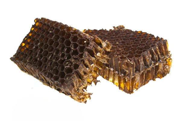 Favo de mel isolado sobre fundo branco — Fotografia de Stock