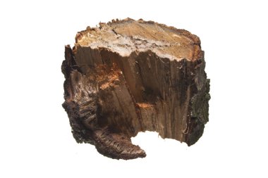 Beyaz arkaplanda yakacak odun