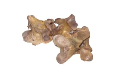 Beyaz arka plan üzerinde izole kemik