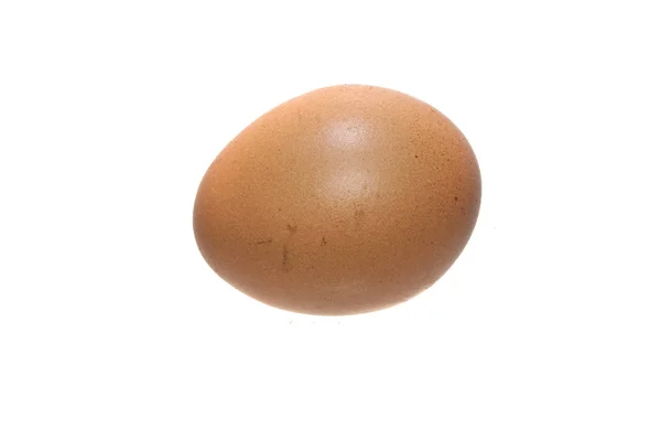 Egg isolated on white background — Stock Photo, Image