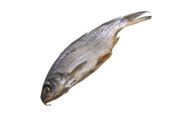 Beyaz arkaplanda izole edilmiş balık — Stok fotoğraf