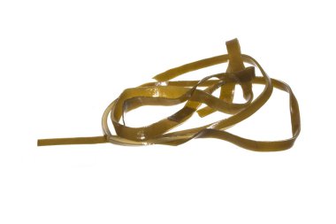 deniz lahanası beyaz arkaplanda izole