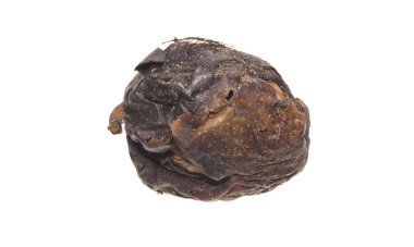 beyaz arkaplanda izole edilmiş fındık