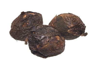 beyaz arkaplanda izole edilmiş fındık