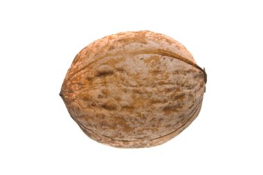 beyaz arkaplanda izole edilmiş fındık