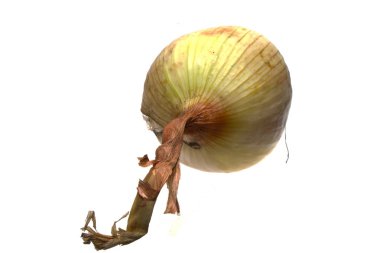 Beyaz arkaplanda soğan izole edildi