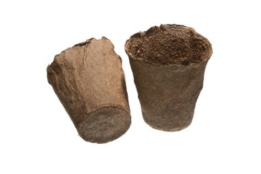turba kabı beyaz arkaplanda izole