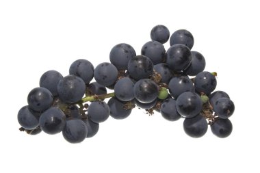 Beyaz arkaplanda izole edilmiş üzümler