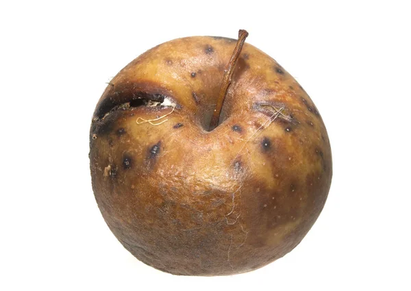 Apel busuk diisolasi pada latar belakang putih — Stok Foto