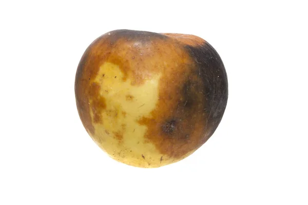 Гниле яблуко ізольоване на білому тлі — стокове фото