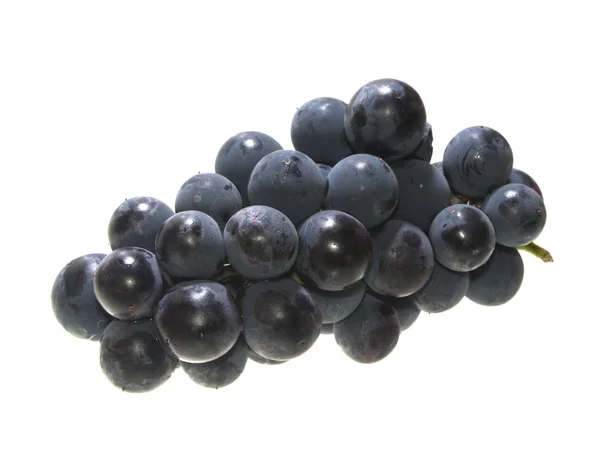 Grapes isolated on white background — Stock Photo, Image