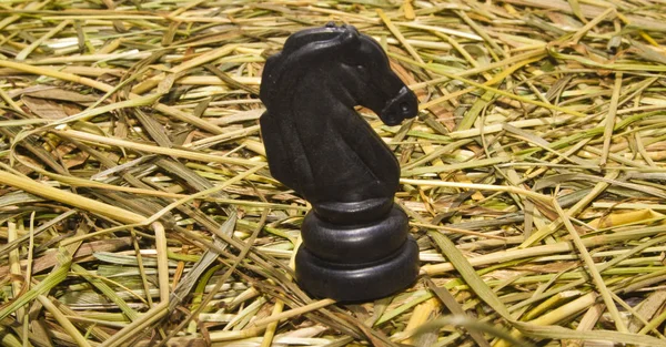 Chess on the background of dry grass — Stock Photo, Image