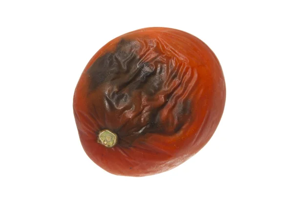 Çürük domates beyaz arka plan üzerinde izole