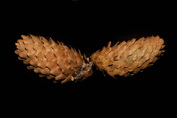 cone isolated on black background