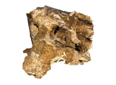 Beyaz arkaplanda yakacak odun