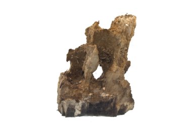 Beyaz arkaplanda yakacak odun