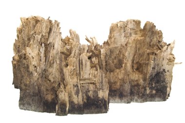 Beyaz arkaplanda yakacak odun