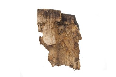 Beyaz arkaplanda yakacak odun