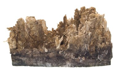 Beyaz arkaplanda yakacak odun