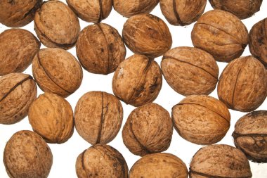 beyaz arkaplanda izole edilmiş fındık