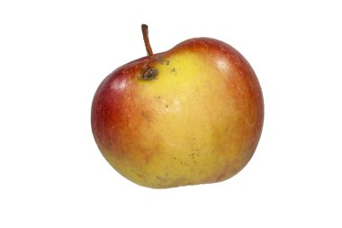 elma beyaz arkaplanda izole edildi