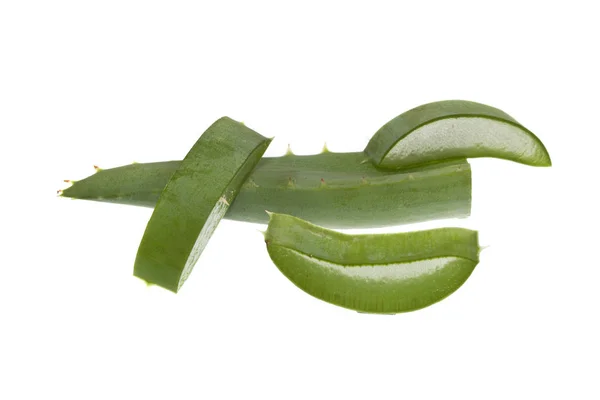 Aloe isolerad på vit bakgrund — Stockfoto