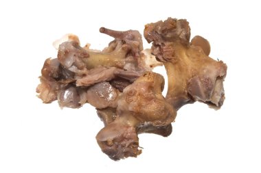 Beyaz arka plan üzerinde izole kemik