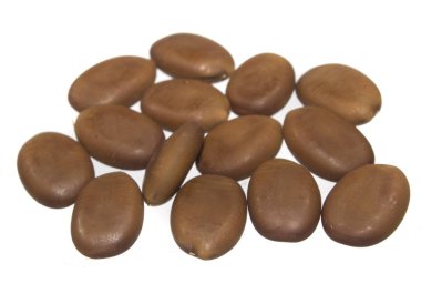 Beyaz arka planda izole bitki tohumları