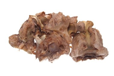 Beyaz arka plan üzerinde izole kemik