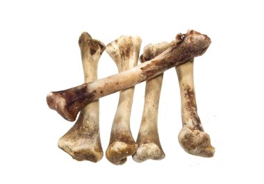 Beyaz arka plan üzerinde izole kemik