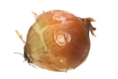 Beyaz arkaplanda soğan izole edildi