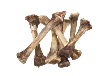 Beyaz arka plan üzerinde izole kemik